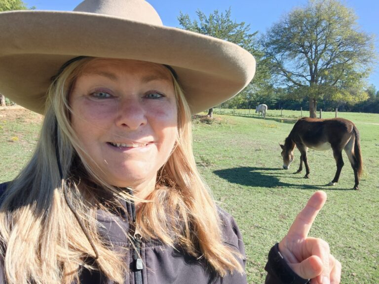 Woman in hat near horse in field