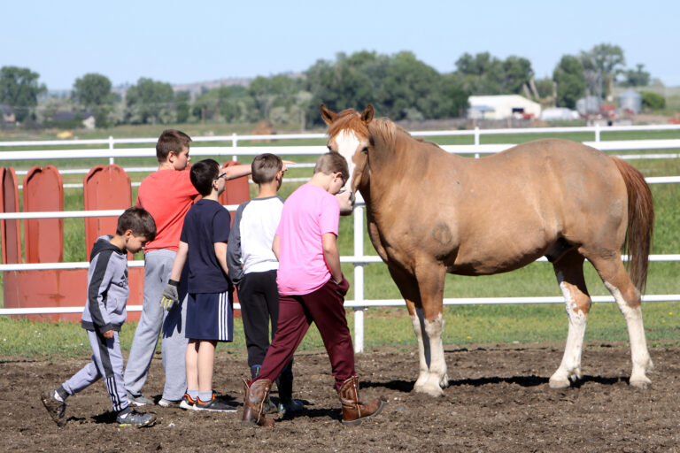 People standing near horse during Eagala activity