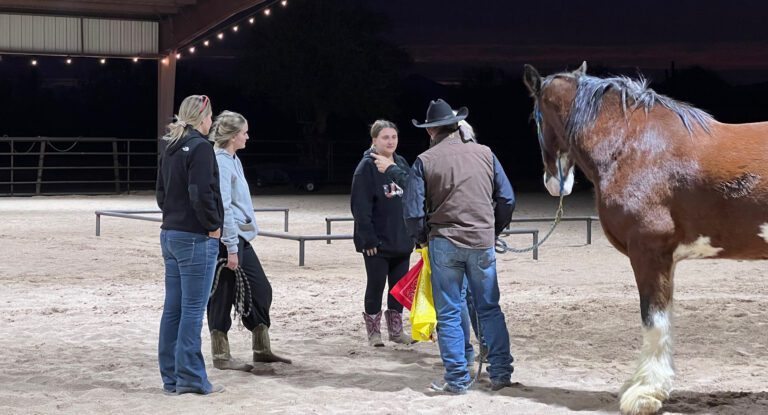 Eagala certified members working with horse in arena