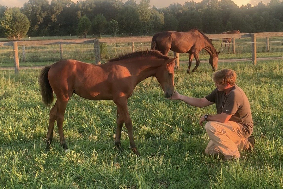 Person kneeling near horse in a field