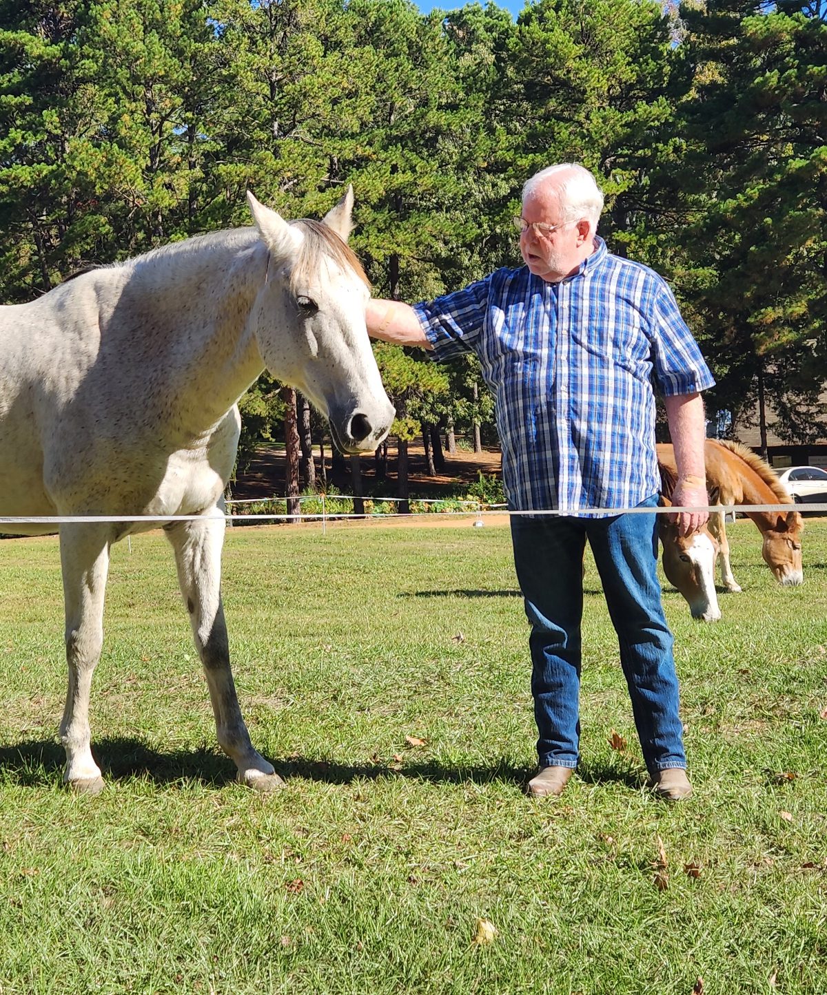 An older man petting a white horse in a field