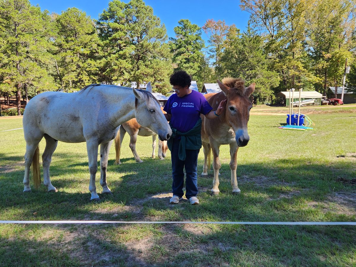 Person standing between two horses in pasture