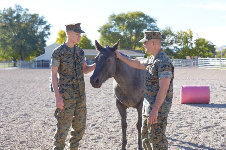 Military members with horse